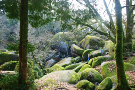 Huelgoat - Randonnées dans les monts d'Arrée